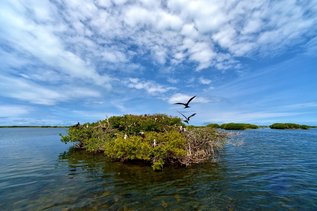 Codrington Lagoon, Barbuda, by Ted Lee EUbanks