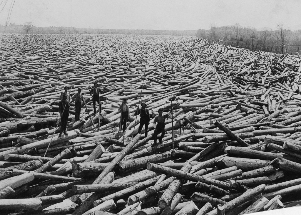 ca. August 1907, New York State, USA --- Men stand on piles of cut trees --- Image by © U.S. Gov'T Agriculture Forest Service/National Geographic Creative/Corbis