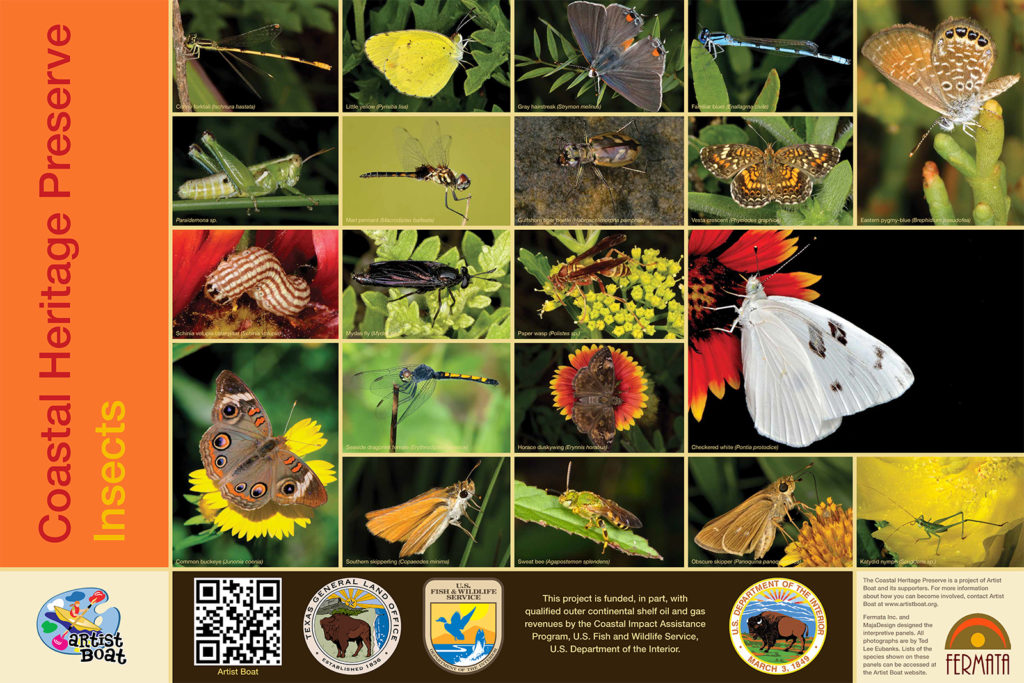 Coastal Heritage Preserve Insects by Ted Lee Eubanks